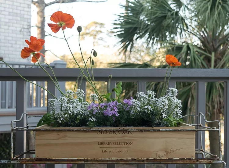 Wine Crate Planter Box