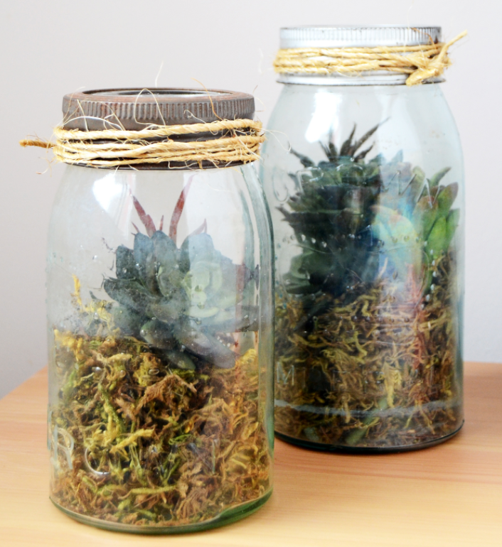 DIY Terrarium in a Mason Jar | DIYIdeaCenter.com