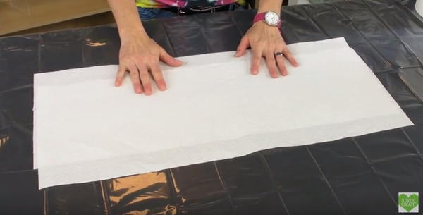 Set up work surface with a plastic table cover and paper towels.