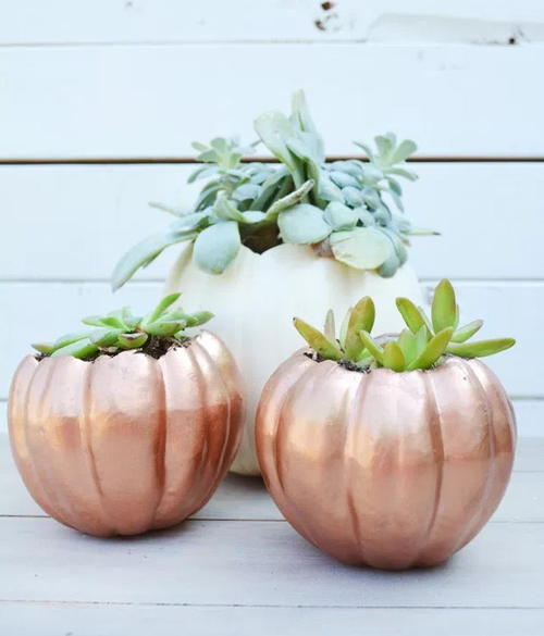 Pumpkin DIY Planters