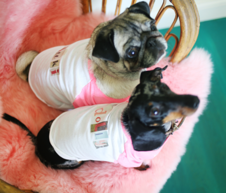 Vogue Ransom Note DIY Dog Shirts