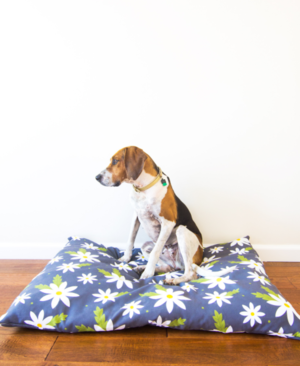 DIY Zippered Dog Bed Slipcover