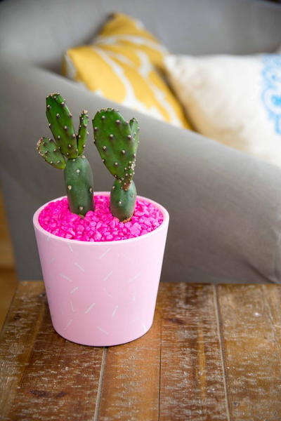 DIY Sprinkle Planter