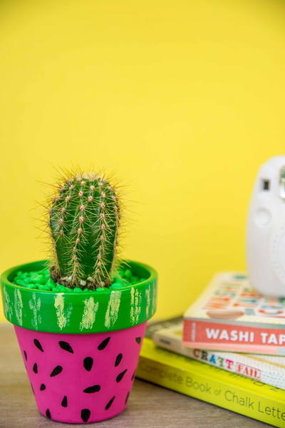 DIY Watermelon Planter