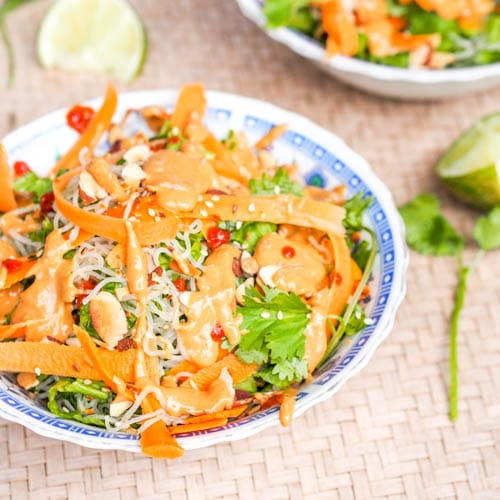 Vegan Asian Noodles with Carrots