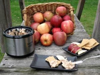 Slow Cooker Hot Apple Pie Dip