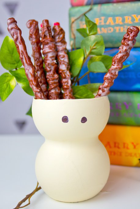 Mandrake Root DIY Pencil Holder