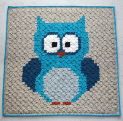 Owl’s Wisdom Crochet Baby Blanket Pattern