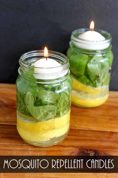 Make Mosquito Repellent Candles