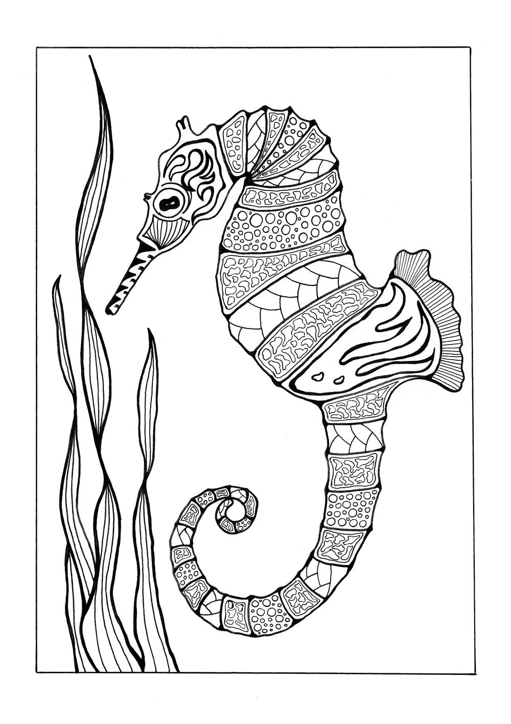 Download Colorful Seahorse Adult Coloring Page | FaveCrafts.com