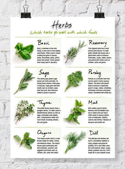 Handy Printable Herb Chart
