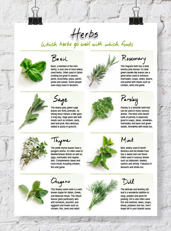 Handy Printable Herb Chart | AllFreePaperCrafts.com