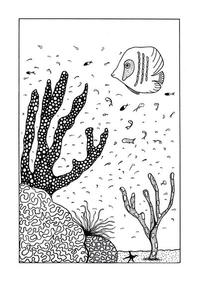 Neptunes Reef Adult Coloring Page