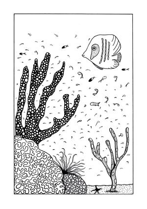 Neptune’s Reef Adult Coloring Page