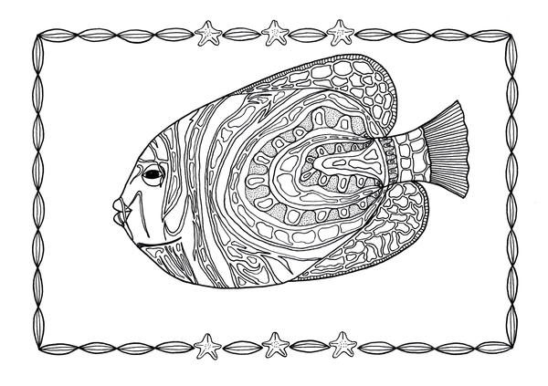Angelfish Adult Coloring Page