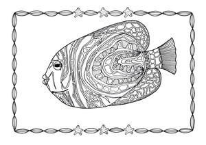 Angelfish Adult Coloring Page