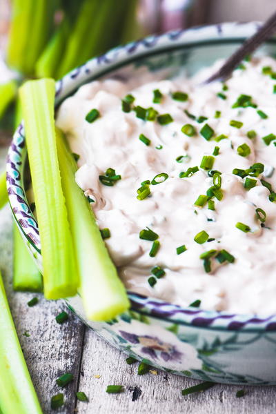 Vintage Vidalia Onion Dip