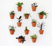 Terracotta Pots DIY Planter Wall