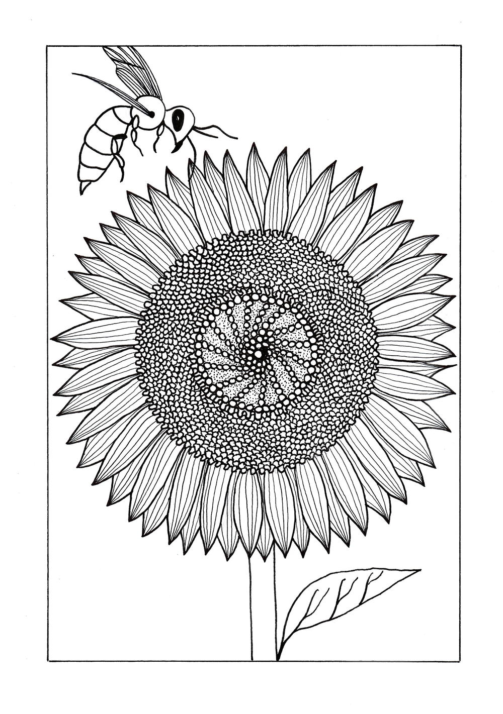 Download Vividly Intricate Sunflower Adult Coloring Page | FaveCrafts.com