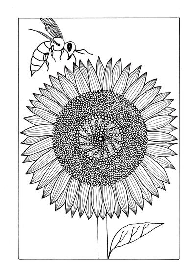 Download Vividly Intricate Sunflower Adult Coloring Page | FaveCrafts.com