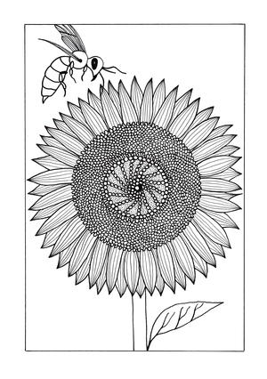 Vividly Intricate Sunflower Adult Coloring Page