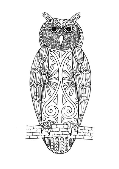 Hoo You Looking At Adult Coloring Page