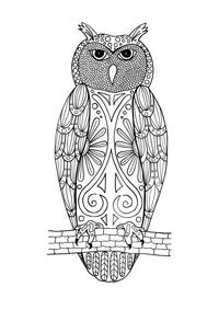 Hoo You Looking At Adult Coloring Page | FaveCrafts.com