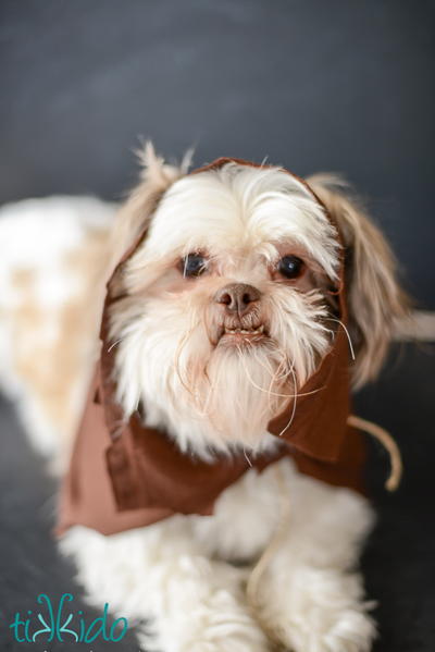 DIY Ewok Costume for Dogs