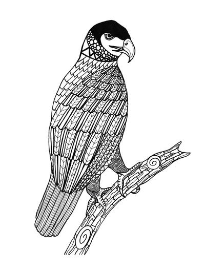 King of the Sky Adult Coloring Page