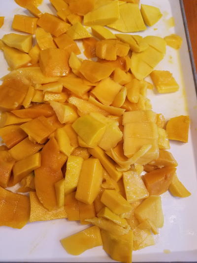 Freeze Your Mango for Later