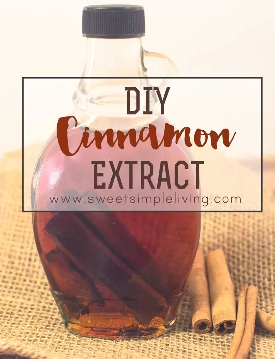Delicious Homemade Cinnamon Extract