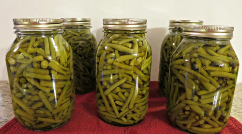 Home Canning 101: A Beginner Canning Guide | DIYIdeaCenter.com