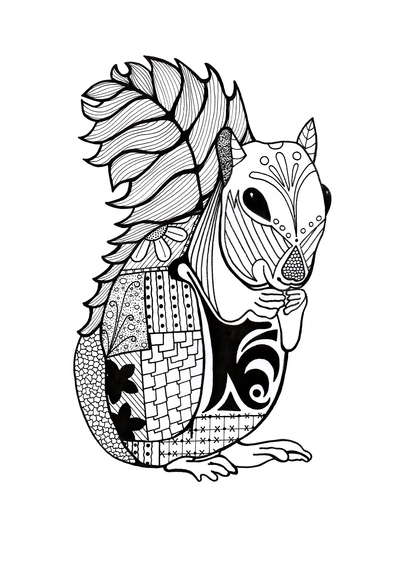 Intricate Squirrel Adult Coloring Page