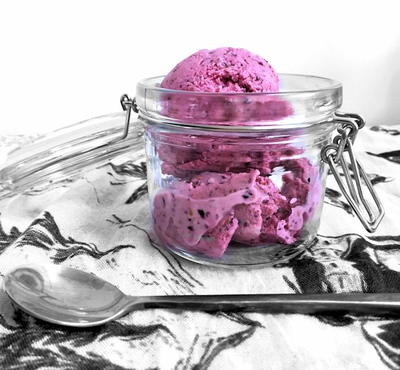 Blueberry Fro-yo without Ice Cream Maker