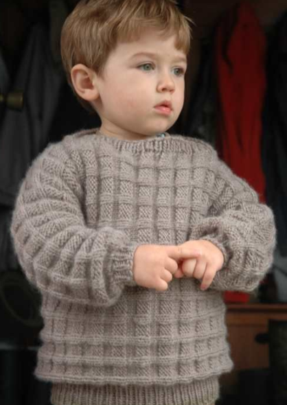 Little Boy's Woodland Sweater
