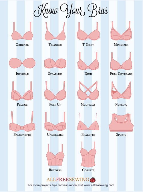 Know Your Bras Guide Infographic