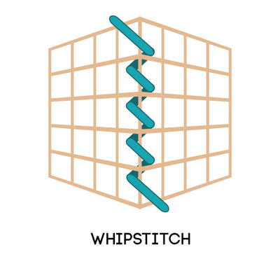 Winstitch Canvas Example 8 Plastic Canvas Stitches | FaveCrafts.com