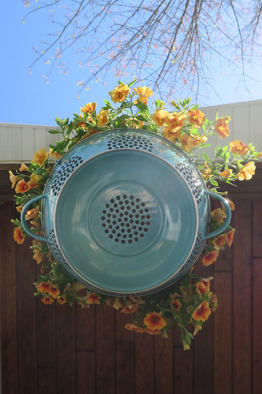 DIY Hanging Colander Planter | FaveCrafts.com