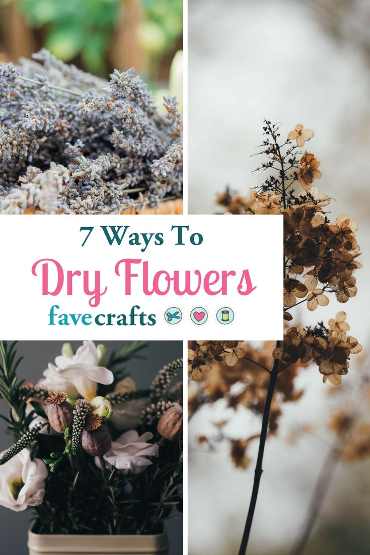 How to Dry Flowers 7 Ways