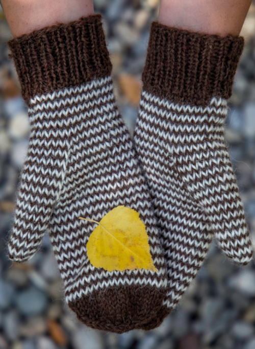 Mini Chevron Knit Mitten Pattern