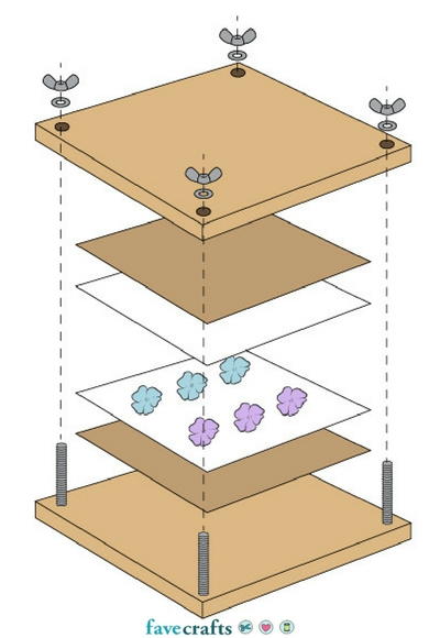 Flower Press Diagram