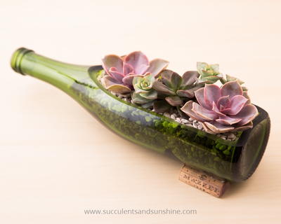 Unique Succulent Wine Bottle Craft