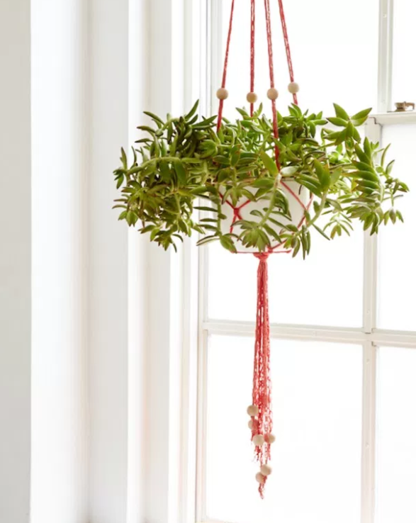 DIY Plant Hanger Finger Knitting Project