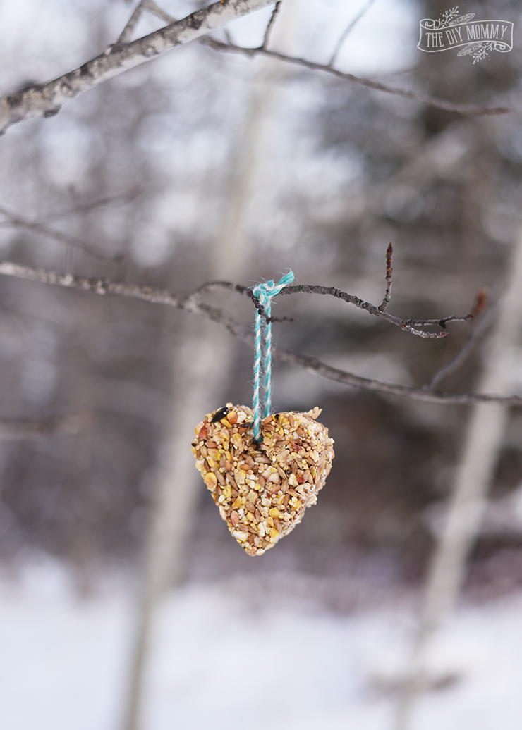 Simple DIY Bird Feeder Ornaments AllFreeHolidayCrafts Simple diy bird feeder ornaments allfreeholidaycrafts