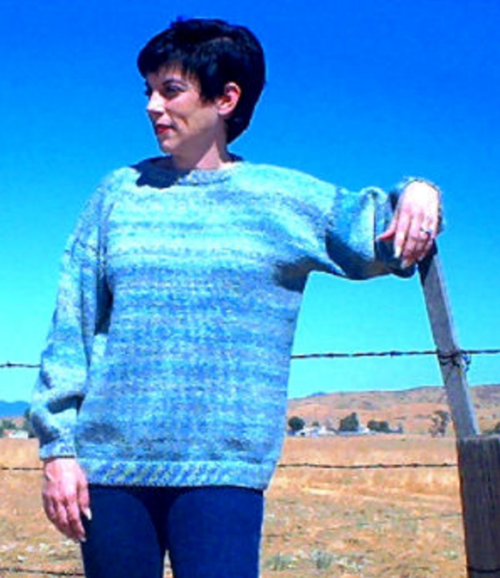 Easy No Sew Sweater