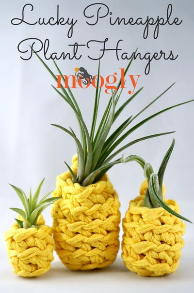 Lucky Pineapple Plant Hangers