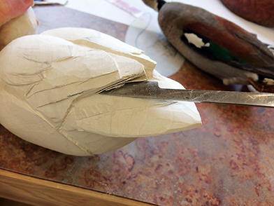 A Ringed Teal Drake - Part One: Carving | wildfowl-carving.com