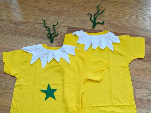 Dr. Seuss Sneetches Costume Idea