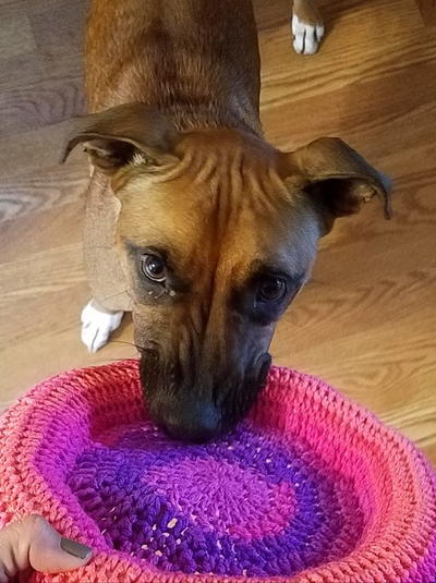 Crochet Frisbee Pattern for Pup or Tot