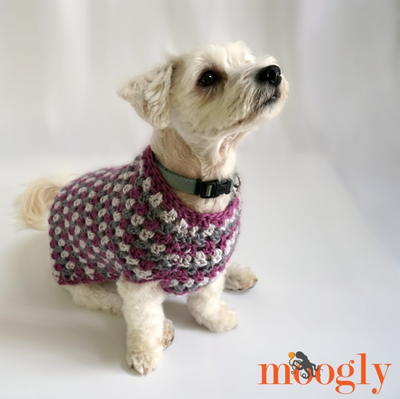 Well Dressed Dog Coat | AllFreeCrochet.com Well Dressed Dog Coat | AllFreeCrochet.com